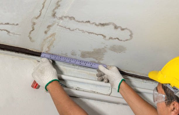Reliable Flood Cleanup contractor in University Center, VA by Water Damage Irwin